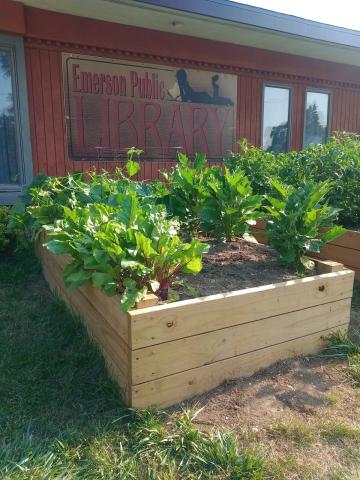 library garden